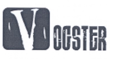 vogster