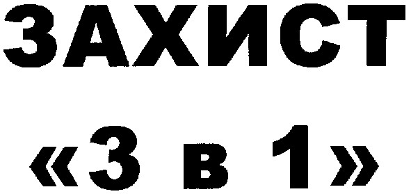 "3 в 1"