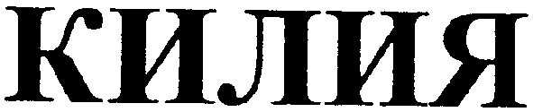 килия