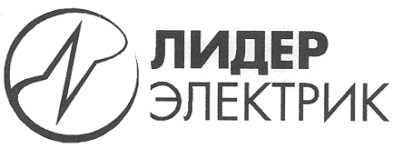 лидер электрик
