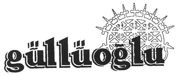 gulluoglu