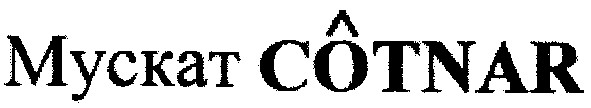 мускат cotnar