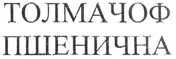 толмачоф