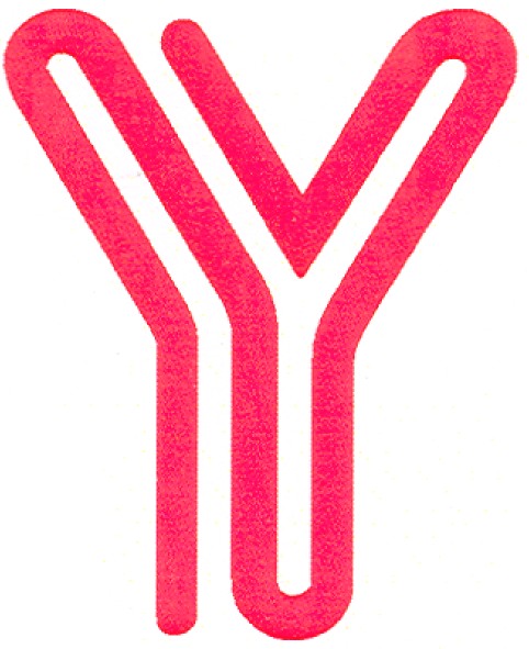 у
