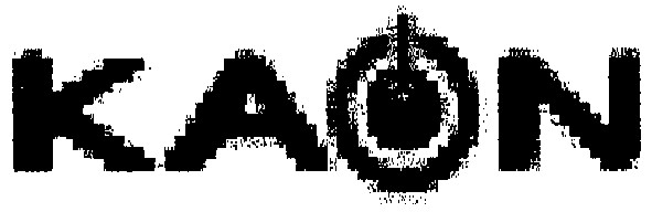 kaon