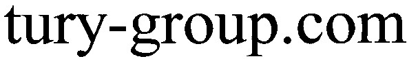 tury-group.com