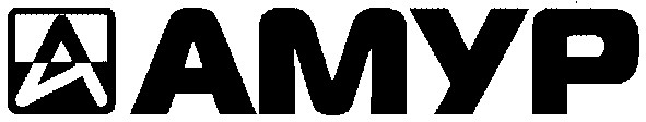 amyp