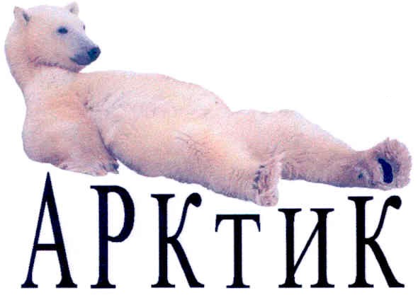 арктик