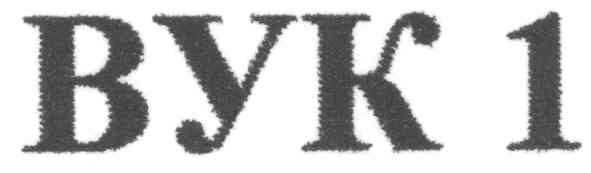 byk 1