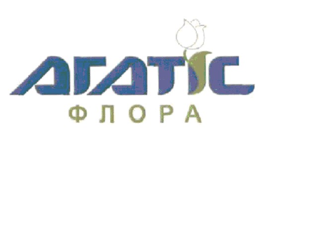 агатіс