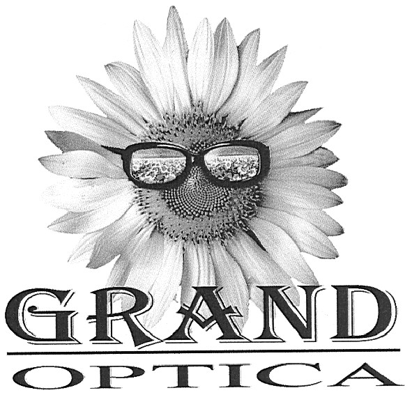 grand optica