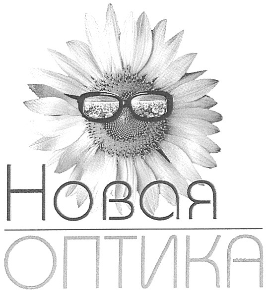 новая оптика