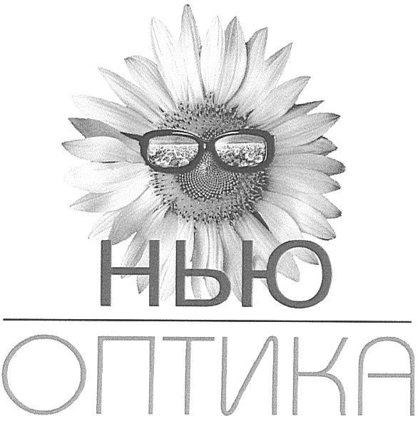 нью оптика