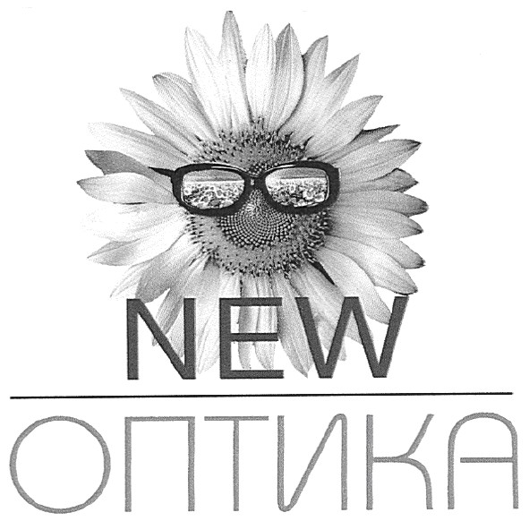 new оптика