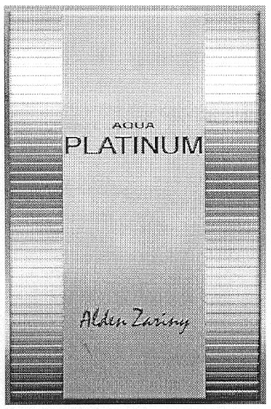 alden zariny