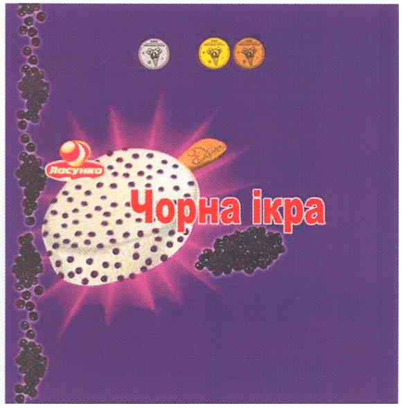 чорна ікра