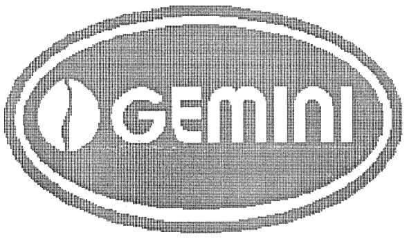 gemini