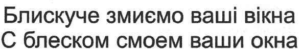 блискуче змиємо ваші вікна