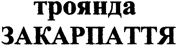 троянда закарпаття
