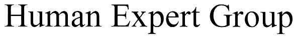human expert group