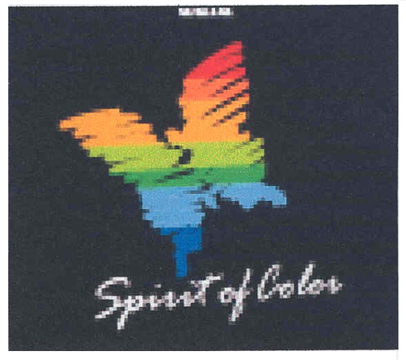 spirit of color
