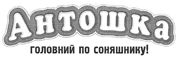 головний по соняшнику!