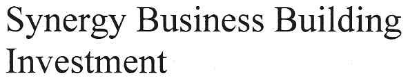 synergy business building investment