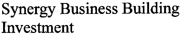 synergy business building investment