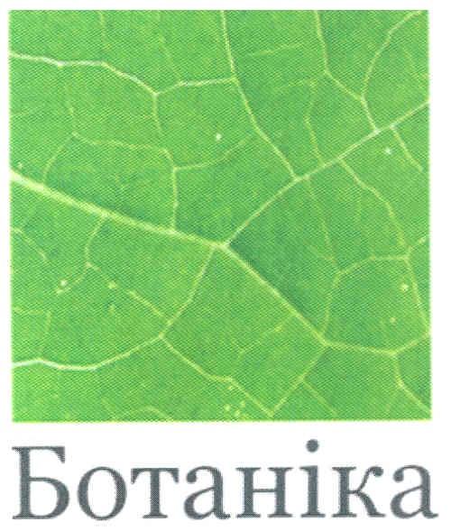 ботаніка
