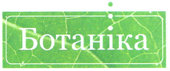 ботаніка