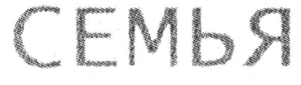 семья