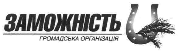 громадська організація