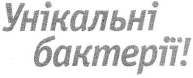 унікальні бактерії!
