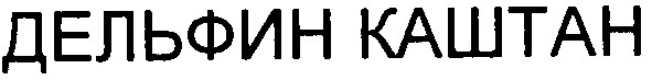 дельфин каштан