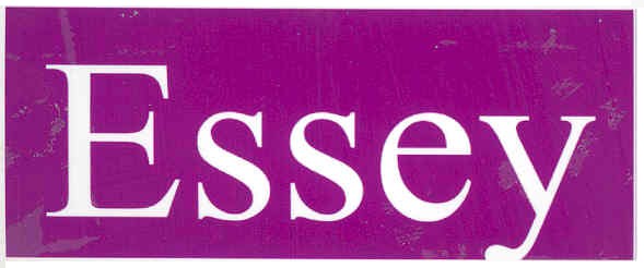 essey