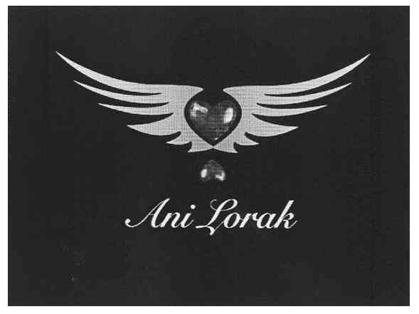 ani lorak