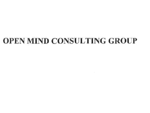 open mind consulting group