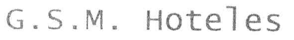 g.s.m.hoteles