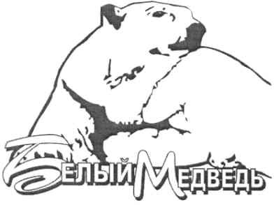 белый медведь