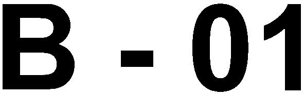 b-01
