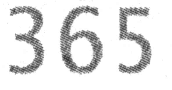 365