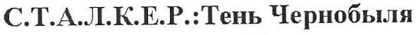 с.т.а.л.к.е.р.:тень чернобыля