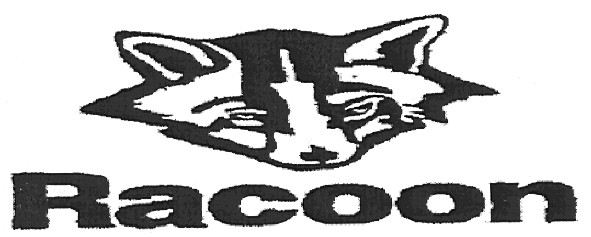 racoon