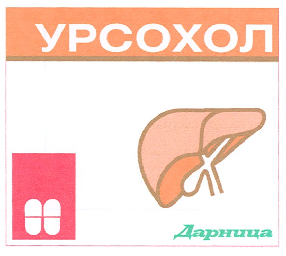 урсохол