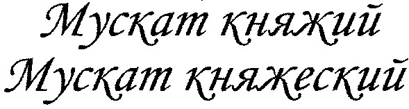 мускат княжеский