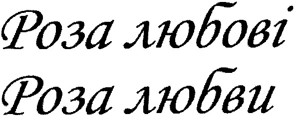 роза любові