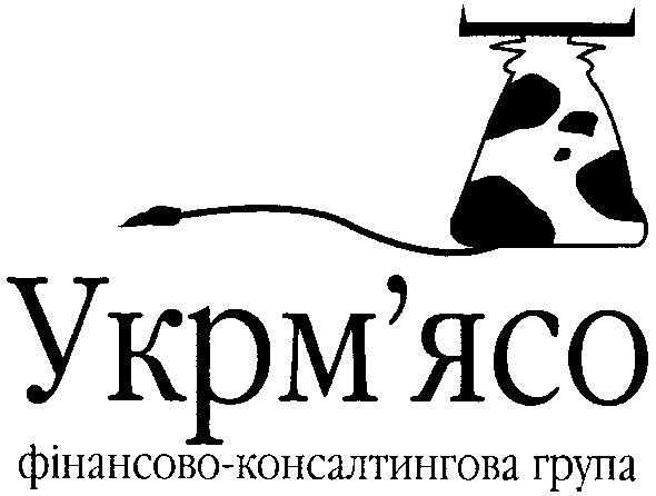 фінансово-консалтингова група