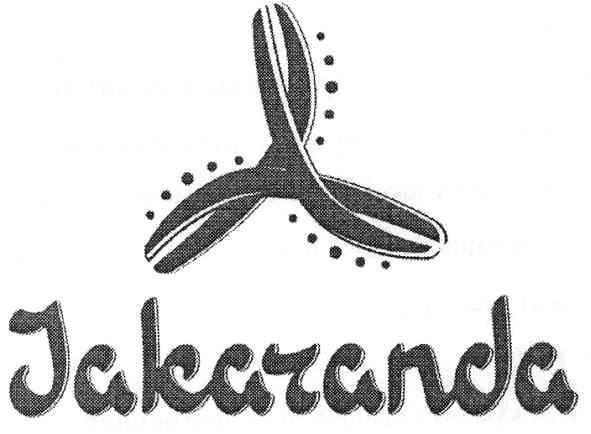 jakaranda
