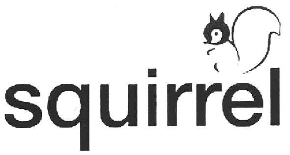 squirrel