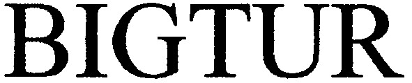 bigtur